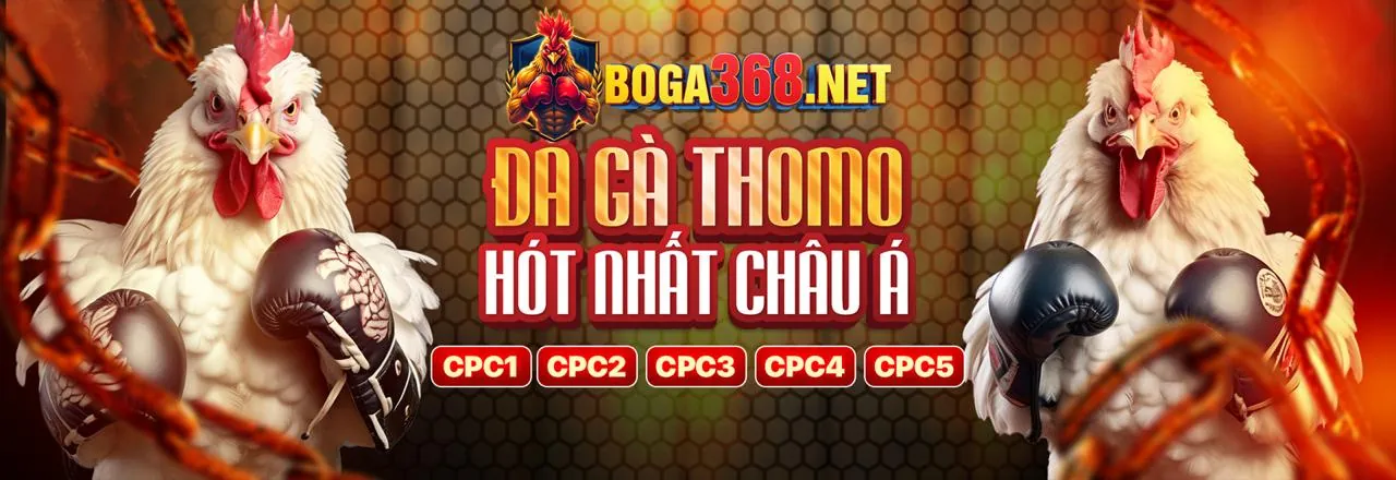 Đá Gà Trực Tuyến w188 game